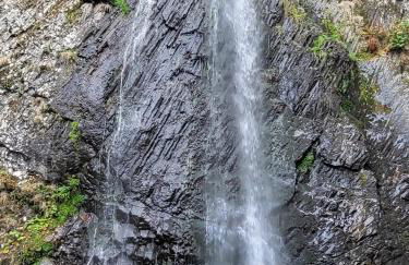 Appartement Mont Dore tout confort, 2 pièces, 4 personnes - Foto 26