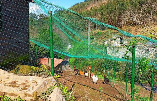 Casa Carmelo - Foto 20