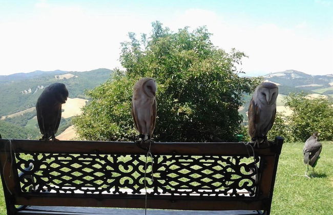 Girfalco - Country House - Bed&Breakfast - Photo 17