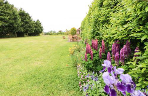 Mordon Moor Cottage - Foto 26