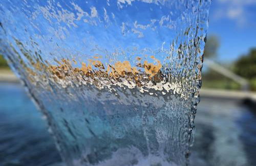 Casa do Cinzeiro - Photo 6