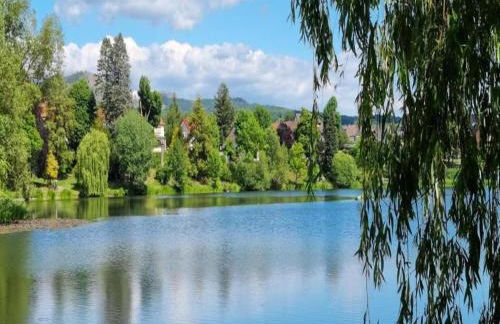 Cosy Holiday Home in the Harz Region - Foto 156