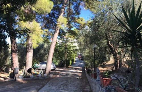 VILLA PINETA VISTA MARE - Foto 48