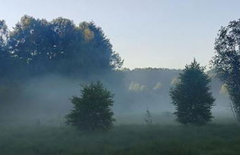 Le Pas du Loup - Photo 25