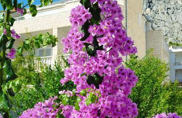 Ferienwohnung am Sandstrand - Foto 2