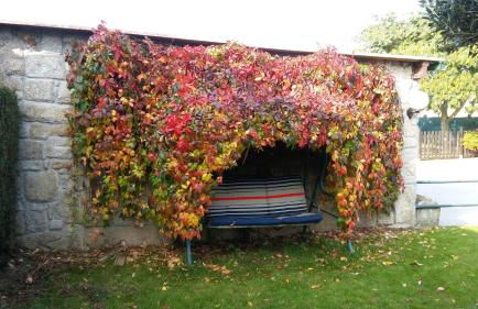 Casa Xardín - Foto 19