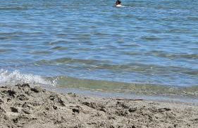 Tropicana Holiday Home - Foto 46