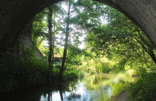 Traveller's Rest - Cosy cottage in heart of Wilton - Foto 19