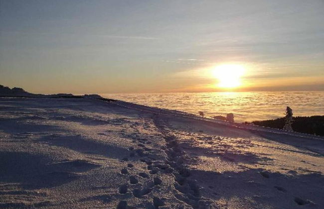 Pretty Holiday Home in Schöfweg ot Langfurth near Ski Slope - Foto 29