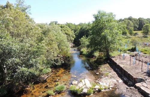 Casa do Forno - Foto 19