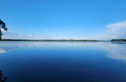 Bliss on the Lake - Photo 26