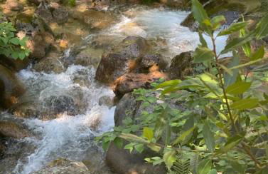 Casa da Lagoa II - Foto 14