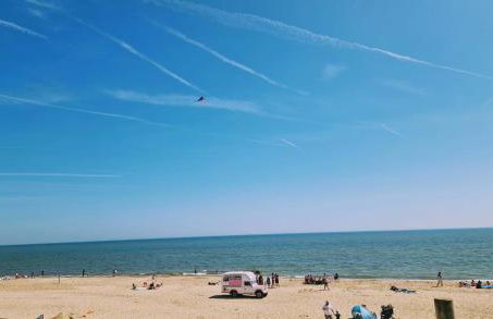 The Lucky 7 - Photo 11