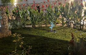 Dream Beloc House Lopud Island - Photo 41