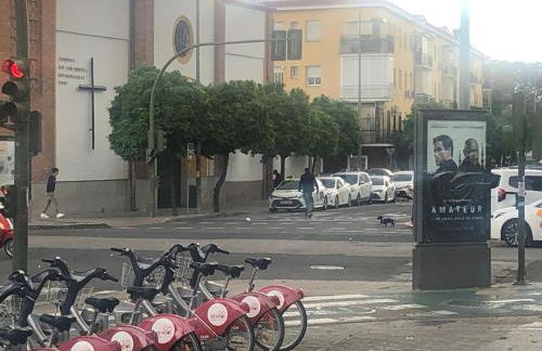 Marshall Suite - Foto 14