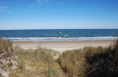 Luxury Beach Side Home home - Photo 13