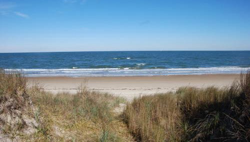 Old Time Beach Front Cottage - The Beach is your Backyard! Pet Friendly cottage - Foto 1