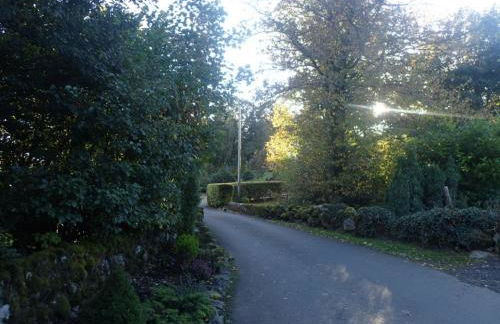 Foxglove Cottage - Photo 18