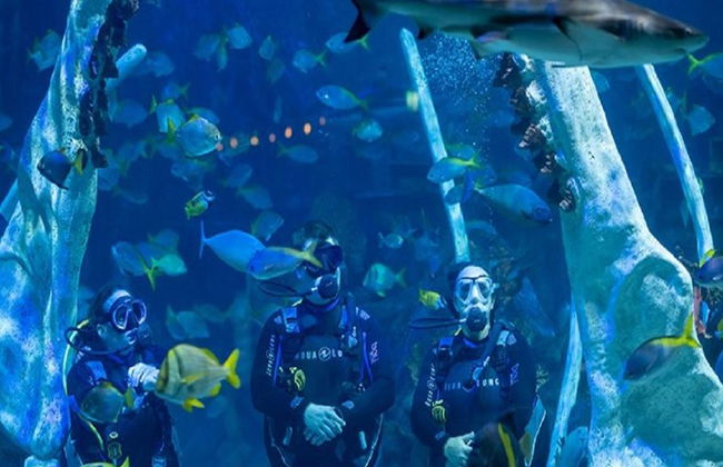 Bear Grylls Adventure - Billet - Photo 1