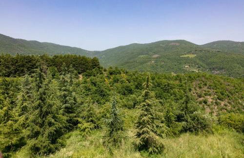 Casale Le Sette Vene - Photo 70