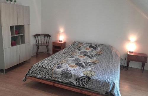 Villa coco 9 personnes jardin proche Beauval - Foto 14