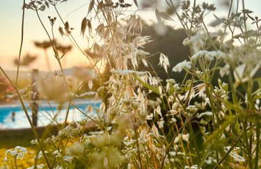 Ali e Radici Vacanze Piemonte - Foto 16