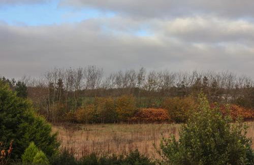 The Dollhouse - Foto 45