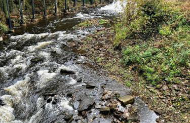 Finest Retreats - Suzys Cottage - Foto 18