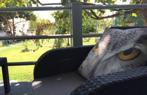 Apartment D & N - Foto 26