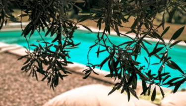 Appartement dans haut de villa - Foto 2