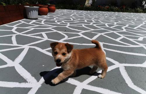 Nikitas Apartment - Foto 10