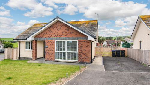 Oystercatcher - Foto 2