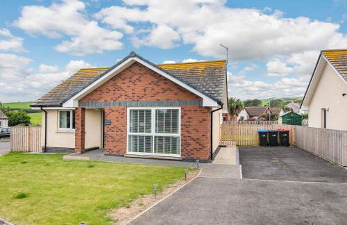 Oystercatcher - Foto 2