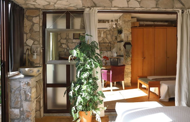 Mahakala Center - Photo 40