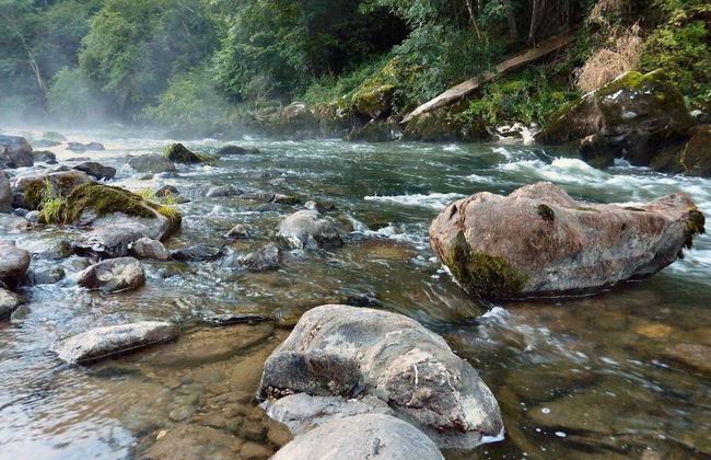 Village de Gite - La Cascade - Foto 20