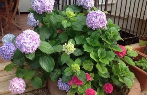 Villa Maria - Foto 33