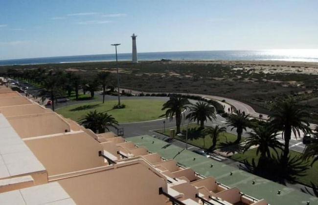 Palm Garden Apartments - Photo 34