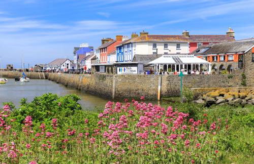 1 Bed in Capel Dewi 85671 - Foto 17