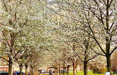 Cosy and Lovely flat with view on Nature - Foto 34