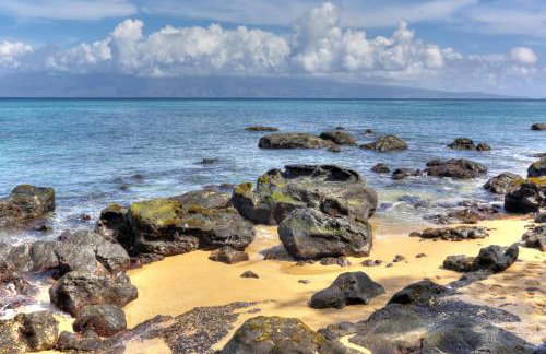 Hale Ono Loa 406 - Foto 27