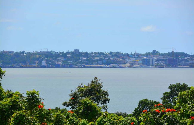 Visita guidata di Suva - Foto 1