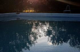 Agroturystyka Pod Modrzewiami - Foto 67