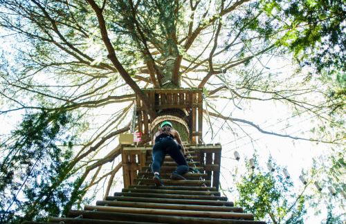 Agriturismo Giandriale - Foto 38