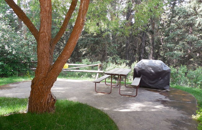 Snake River Cabin Village - Foto 32