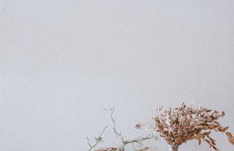 Genius Loci - Foto 14