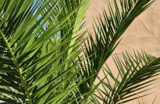 Ferienapartment Wilma - Foto 33