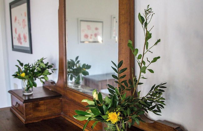 Bio Tenuta di Paganico - I Roggeti - Foto 16