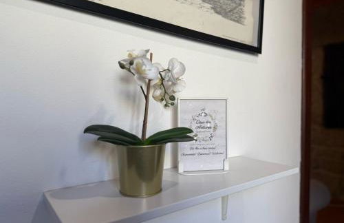 Casa dos Antunes - Foto 11