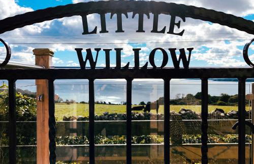 Little Willow - Uk5998 - Foto 16