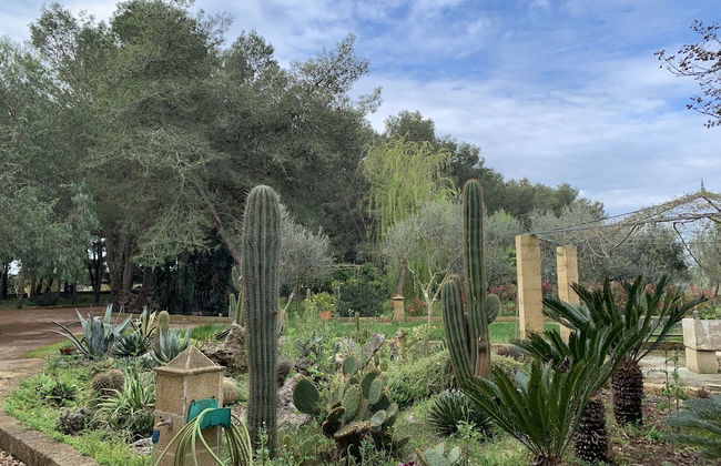 BioAgriturismo Messer Gesualdo - Photo 25